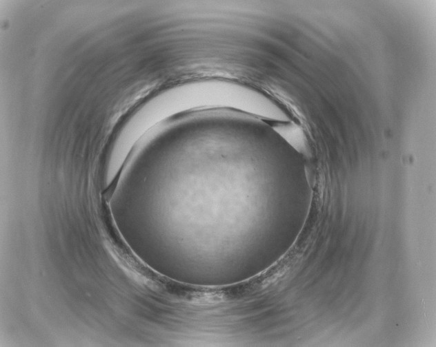 X0000087590398200705112308