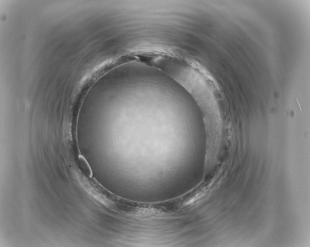 X0000087590399200705112308