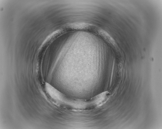 X0000087590400200705112308