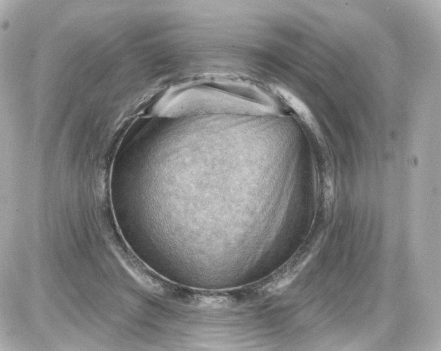 X0000087590401200705112308