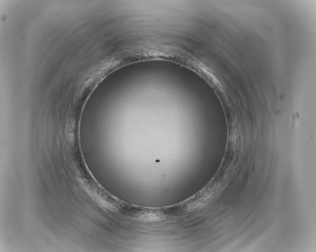 X0000087590402200705112308