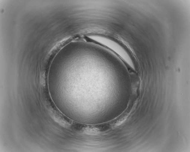 X0000087590403200705112308