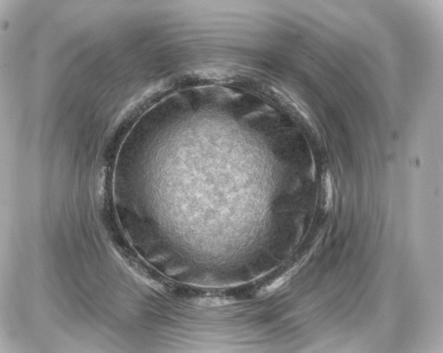 X0000087590404200705112308