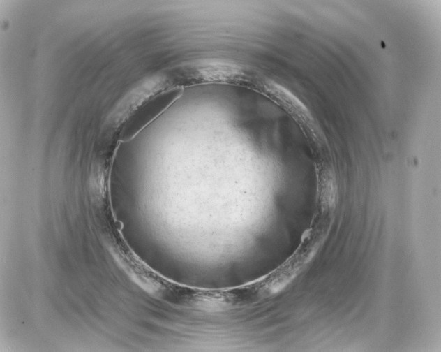 X0000087590405200705112308