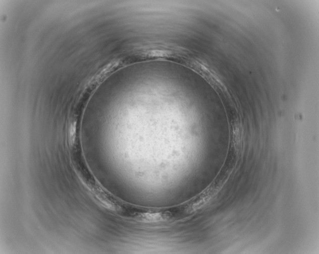 X0000087590406200705112308