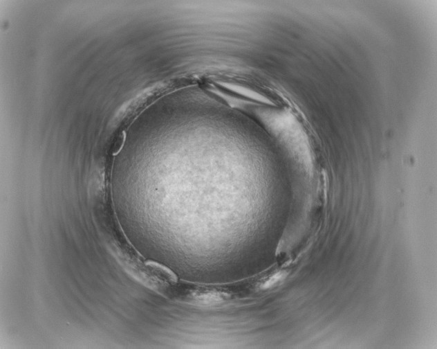 X0000087590407200705112308