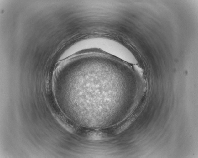 X0000087590408200705112308