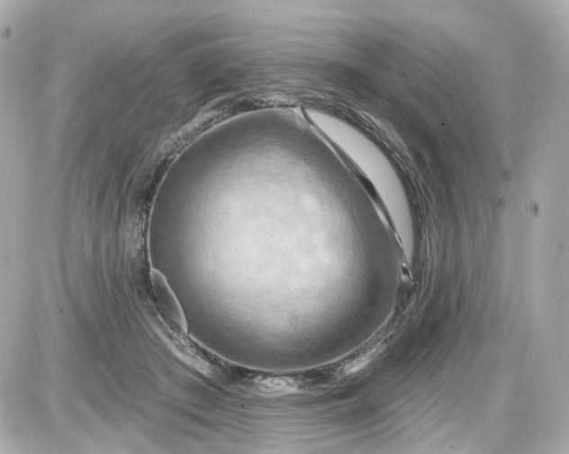 X0000087590409200705112308