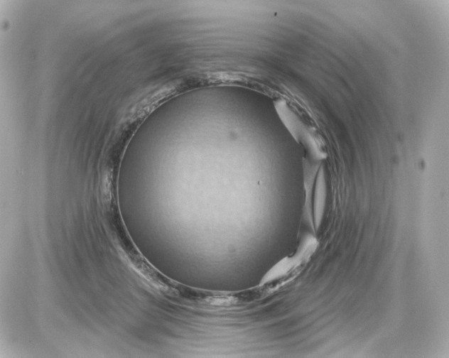 X0000087590410200705112308