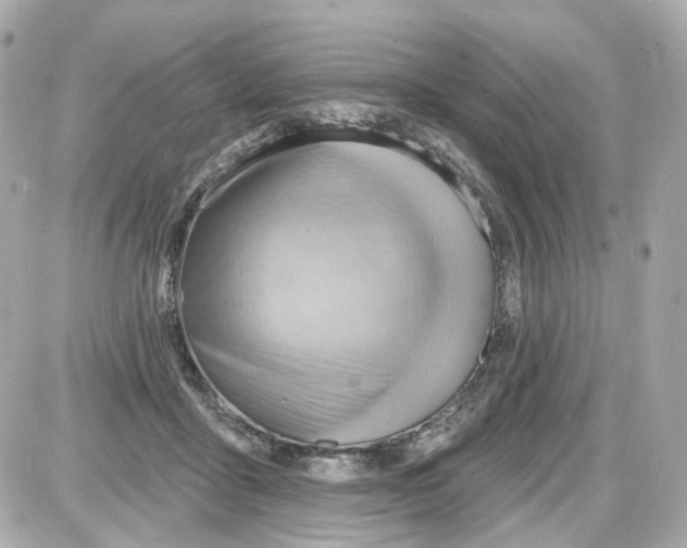 X0000087590411200705112308