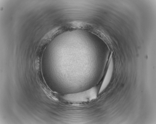 X0000087590413200705112308