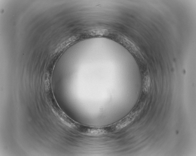 X0000087590414200705112308