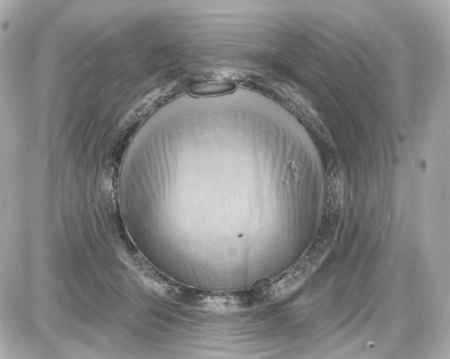 X0000087590415200705112308