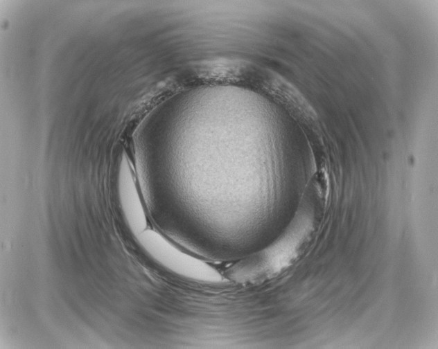 X0000087590416200705112308