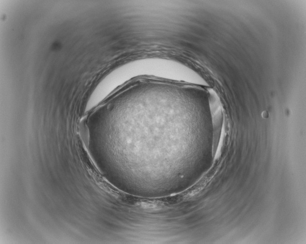 X0000087590417200705112308