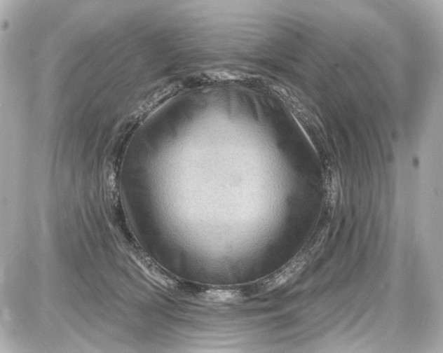 X0000087590418200705112308