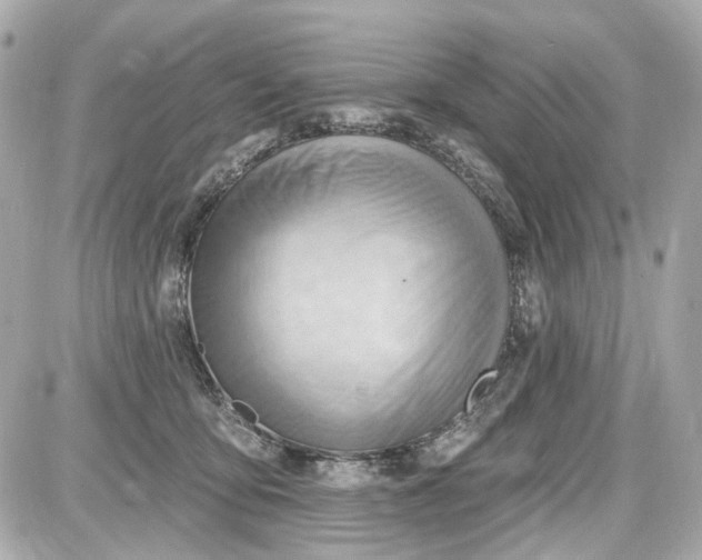 X0000087590419200705112308