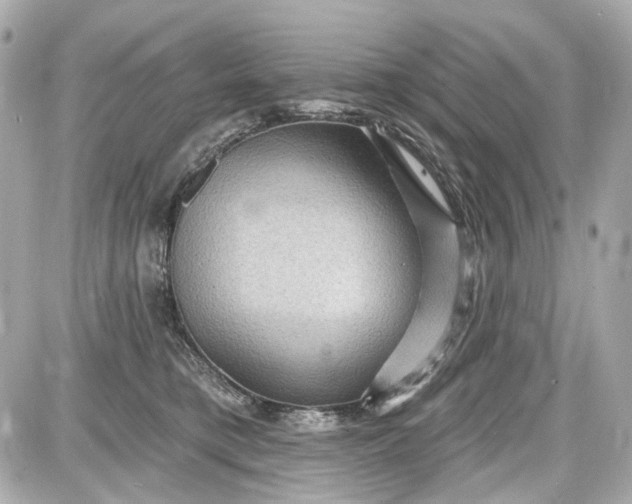 X0000087590421200705112308