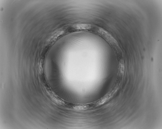 X0000087590422200705112308