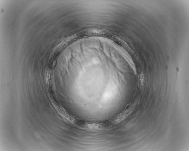 X0000087590423200705112308