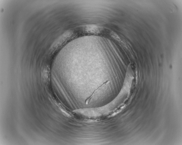 X0000087590424200705112308