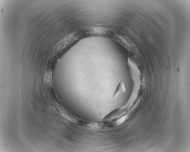 X0000087590425200705112308