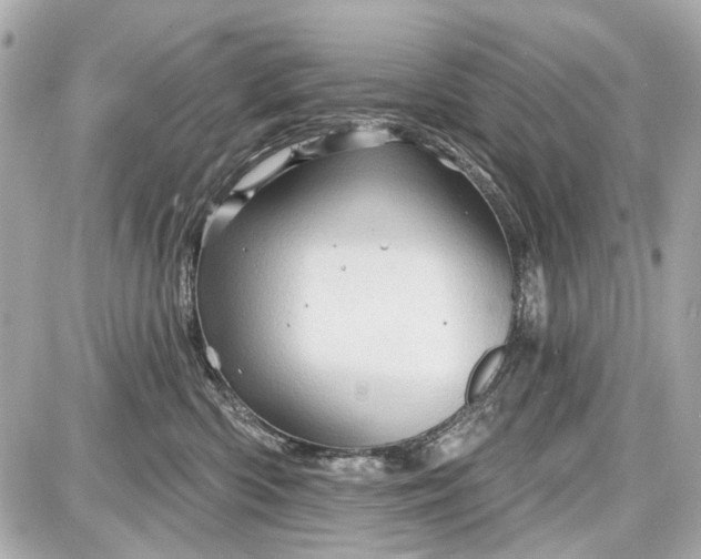 X0000087590426200705112308