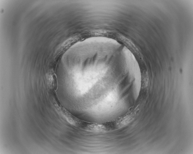 X0000087590427200705112308