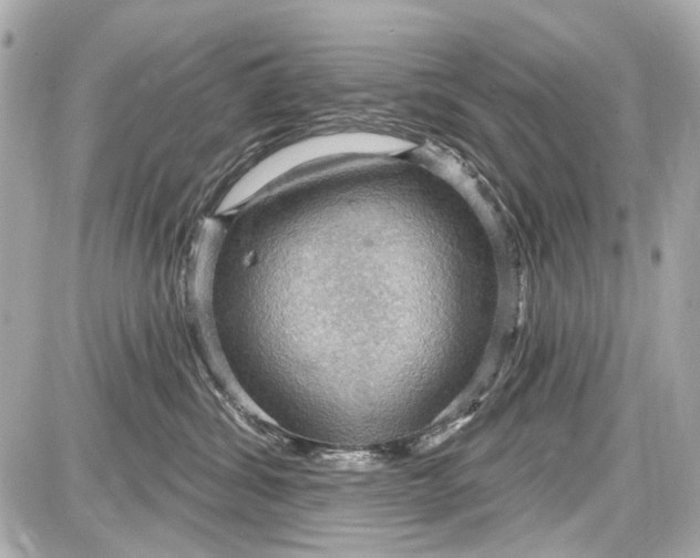 X0000087590428200705112308