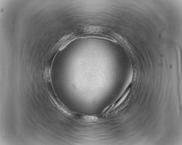 X0000087590429200705112308