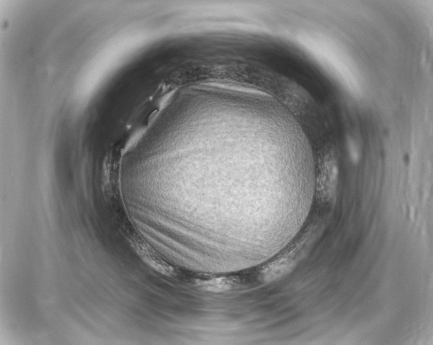 X0000087590430200705112308