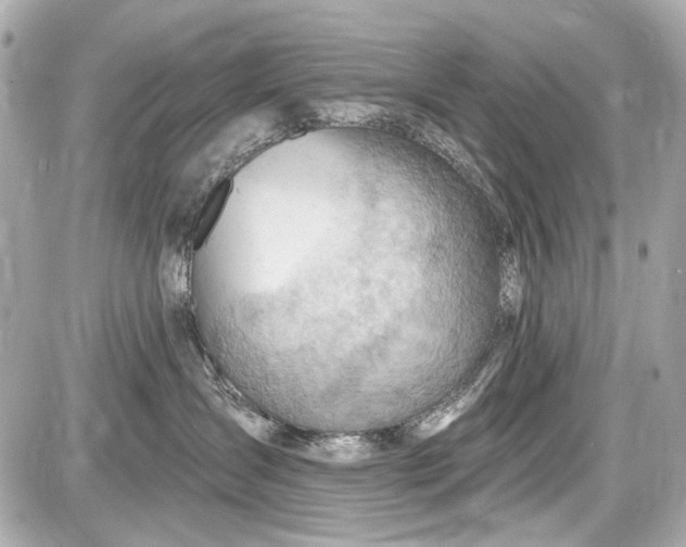 X0000087590431200705112308