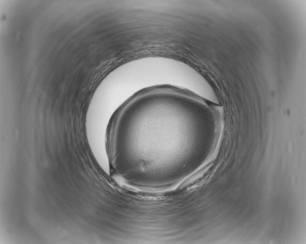 X0000087590432200705112308