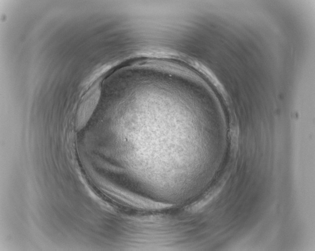 X0000087590433200705112307