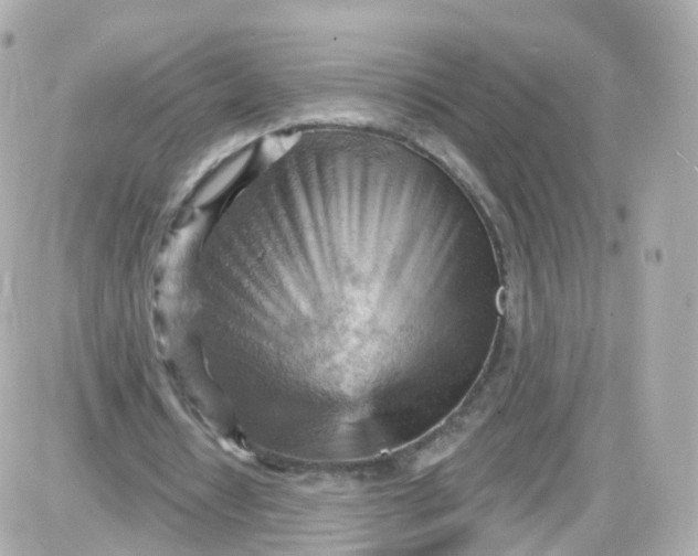 X0000087590434200705112307