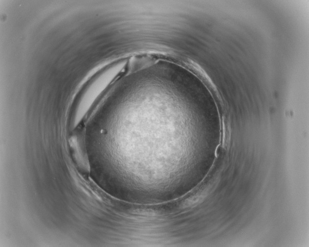 X0000087590435200705112307