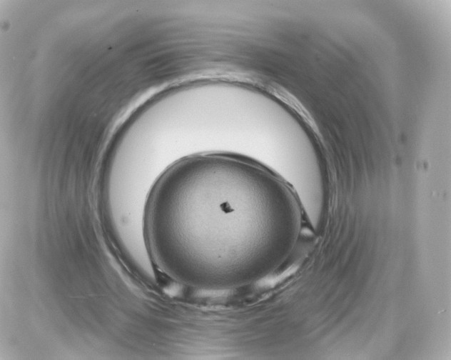 X0000087590436200705112307