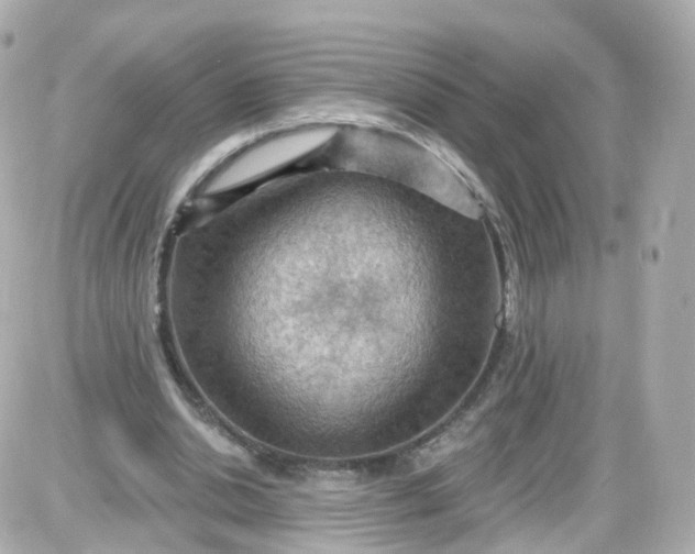 X0000087590438200705112307