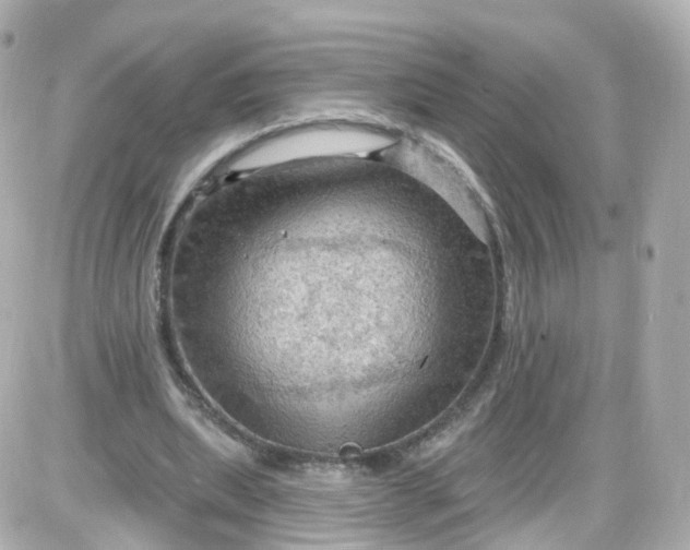 X0000087590439200705112307