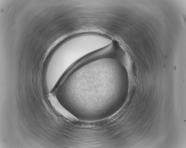 X0000087590440200705112307