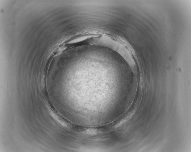 X0000087590441200705112307