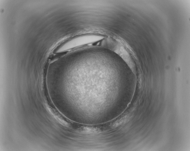 X0000087590442200705112307