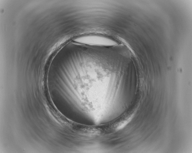 X0000087590443200705112307