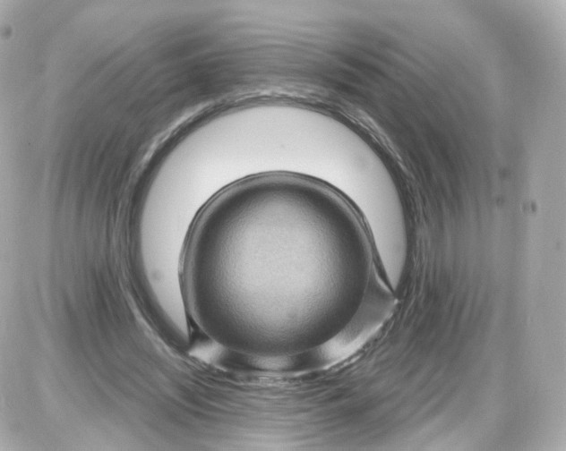 X0000087590444200705112307