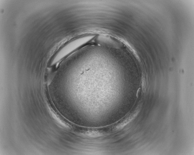 X0000087590445200705112307