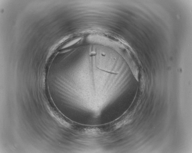 X0000087590446200705112307