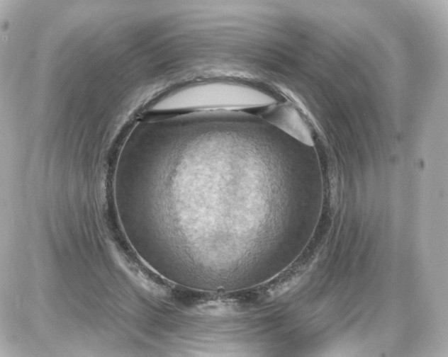 X0000087590447200705112307