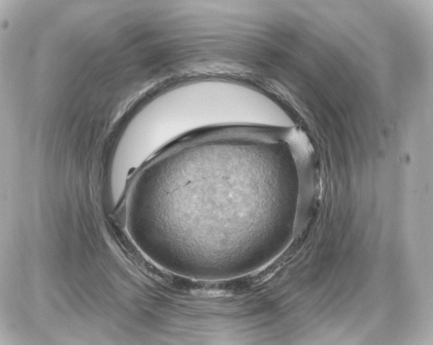 X0000087590448200705112307