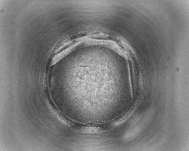 X0000087590449200705112307