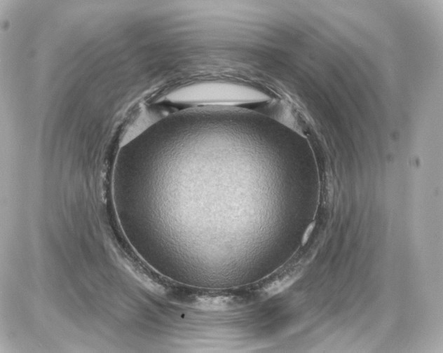 X0000087590450200705112307